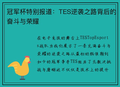冠军杯特别报道：TES逆袭之路背后的奋斗与荣耀